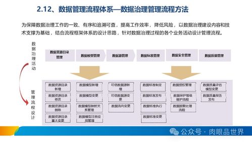 構建穩(wěn)健高效的數(shù)據(jù)引擎 XX集團數(shù)據(jù)治理體系建設方案——數(shù)據(jù)處理服務篇